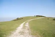 A trackway passing from the viewer up and over a hill ahead