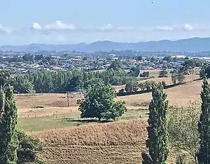 Western Heightsviewed from Wallace Road, looking north