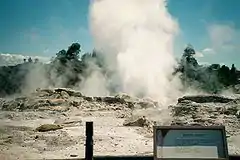 Pōhutu Geyser