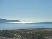 Photo of beach in Puget Sound