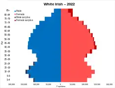 White Irish