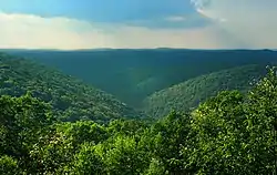 Whitehead Vista in Elk State Forest