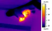 Image 28Thermographic image of a snake eating a mouse (from Snake)