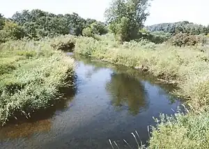 The Wing River for which the township is named, as pictured near Verndale