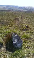 A short, pointy stone sticking out from grassland.