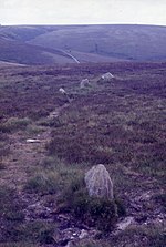 A short, pointy stone sticking out from grassland.