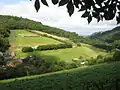 View to Highbury Woods