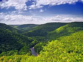 Worlds End State Park, Forks Township