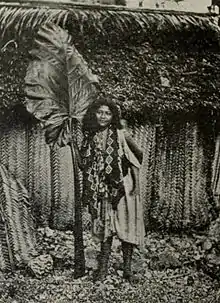 Photograph of woven house walls (Bishop Museum)