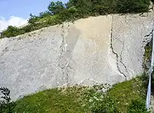 Ripple beds in the Wren's Nest National Nature Reserve, Dudley, England