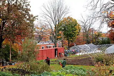 Autumn workday at Yale Farm showing converted shipping container used as tool shed