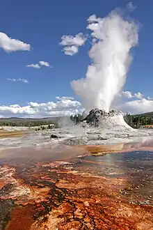 Geyser during an eruption.