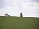 Llech Golman Standing Stone, near Ynys Fawr