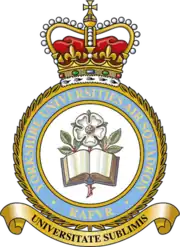 Squadron Badge