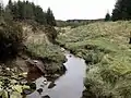 The source of the River Barrow in the Slieve Bloom Mountains