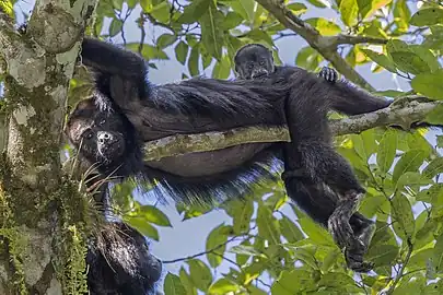 with baby, Guatemala