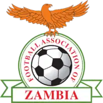 Shirt badge/Association crest