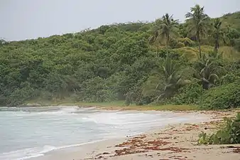 Zoni Beach in Fraile barrio, on Northeastern coast of Culebra