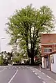 Seven sacraments tree