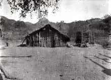 Twentieth-century Bolivian Guaraní hut built from reeds and palm fronds